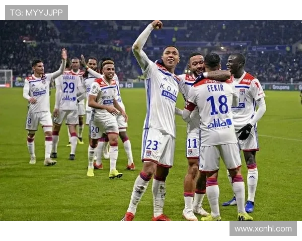 图卢兹俱乐部迎来新赛季阵容更新 强力引援助力争夺法甲前四 图卢兹俱乐部迎来新赛季阵容更新 强力引援助力争夺法甲前四