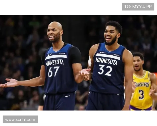 明尼苏达森林狼俱乐部发展历程与球队文化深度解析 明尼苏达森林狼俱乐部发展历程与球队文化深度解析