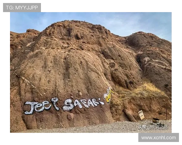 从威尔士骄傲到英伦赛场卡迪夫城足球俱乐部的荣耀与挑战之路